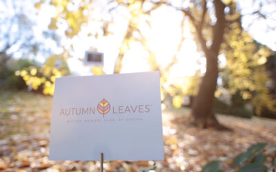 Autumn Leaves Corporate Story Video